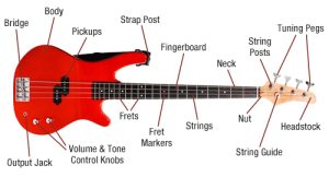The Parts of a Bass Guitar