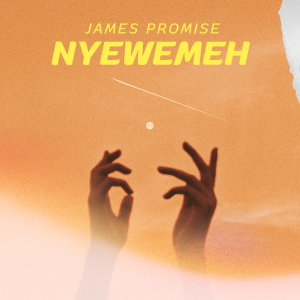 NYEWEMEH - JAMES PROMISE